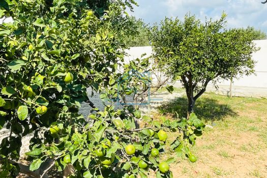 Villetta indipendente con giardino zona mare