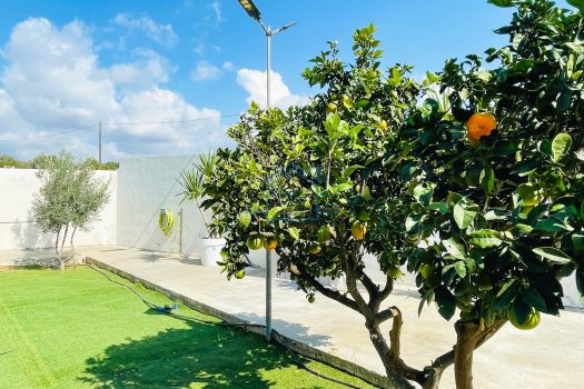 Villetta indipendente con giardino zona mare