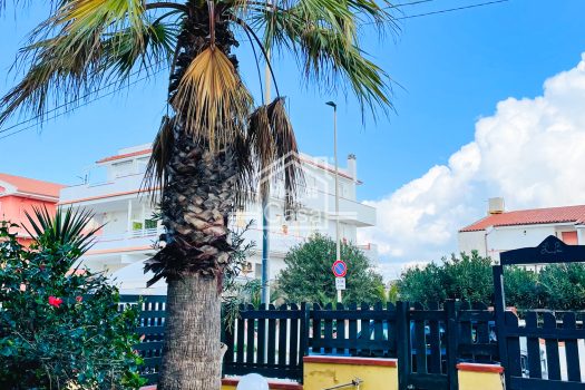 Appartamento con ampia Veranda a Punta Braccetto