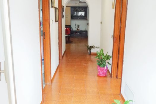 Comodo Appartamento pronto da abitare zona Viale dei Platani